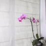 Relaxed Roman Shade "Toronto Beach", roman shade with lining, with cordless mechanism, custom made roman shade, window treatment