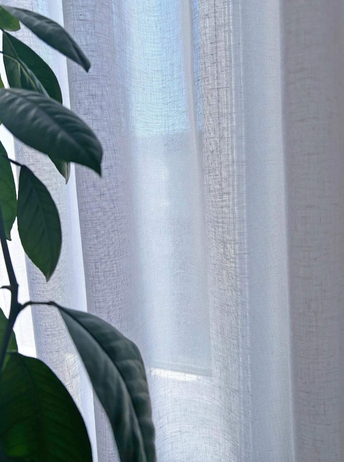 Shannon Ripple Fold Sheer Drapery — Custom Size