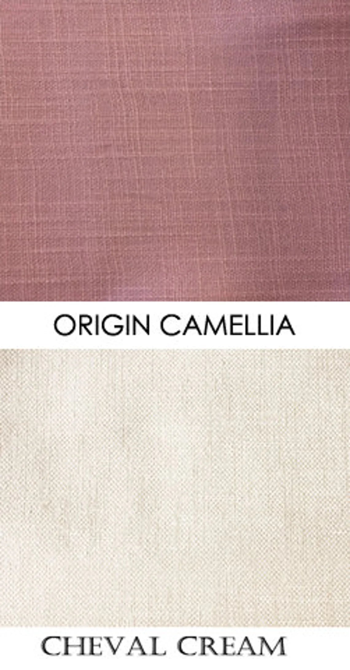 Origin Camellia Roman Shade with Cream Border — Custom Size