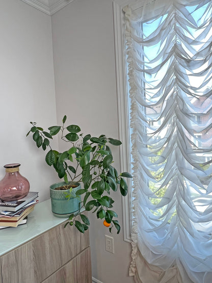 Empire Voile Austrian sheer shade in French Marquise style, scalloped swags, white voile