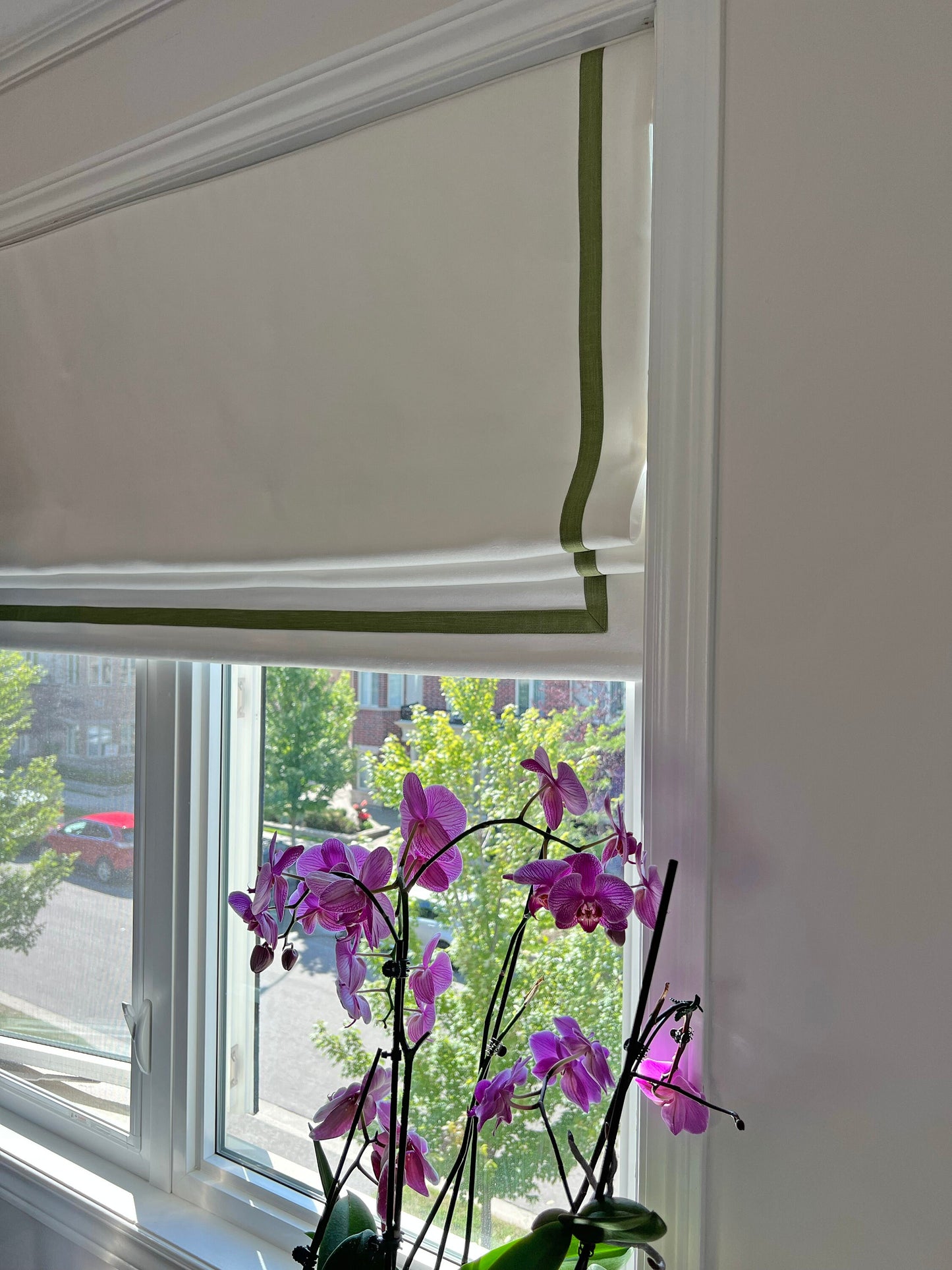Cream linen roman shade with pine border, room view