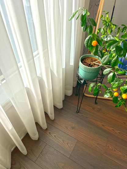 Daylight filtering through Empire voile sheer beside a potted citrus tree — LOGANOVA