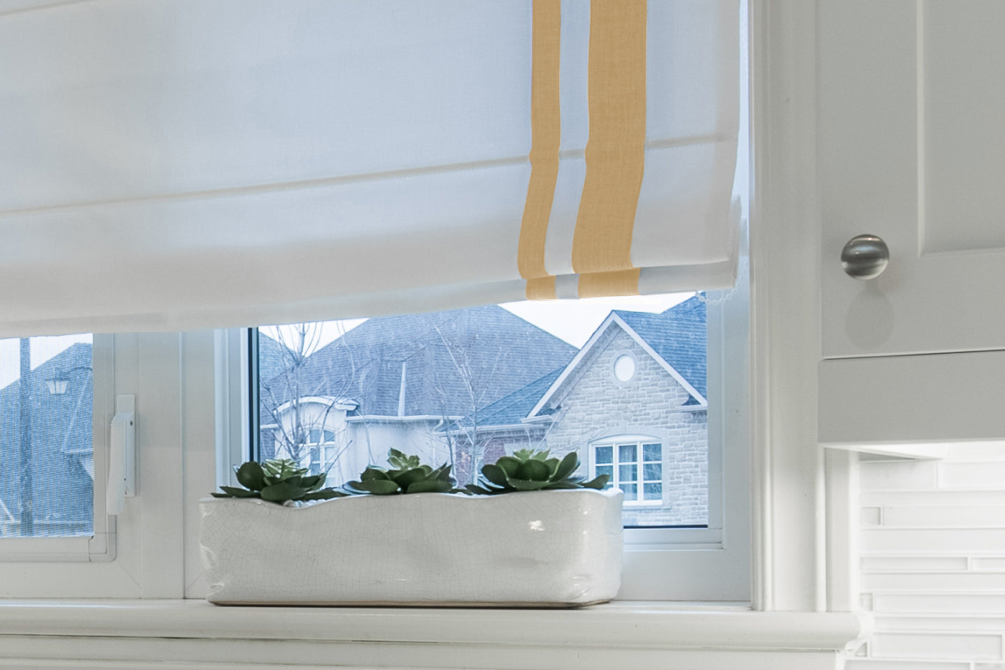 Maize colour of border